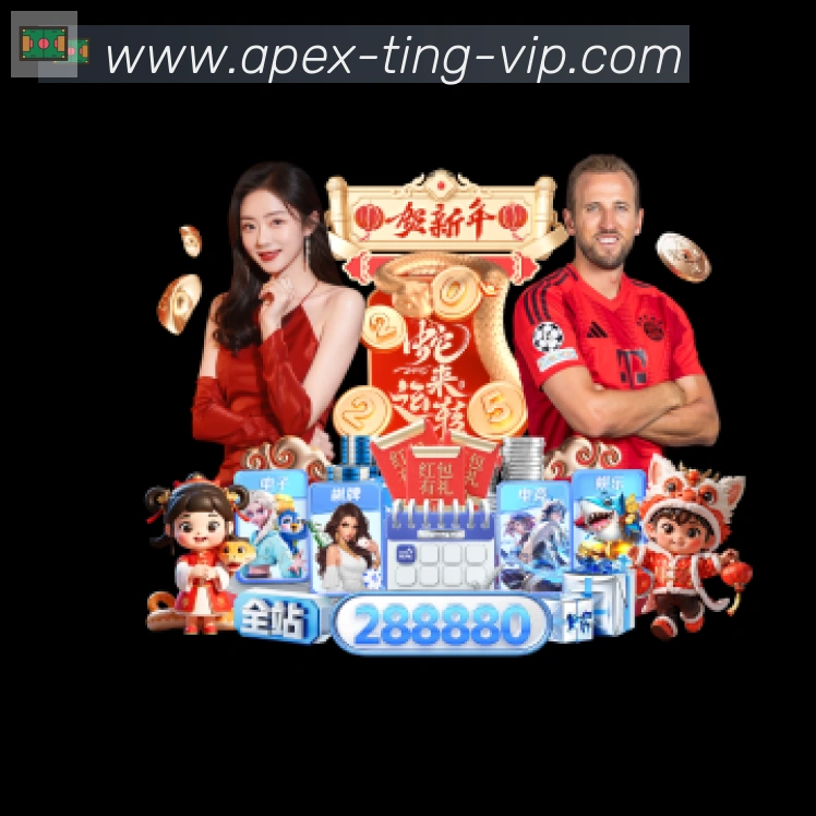 未来规划